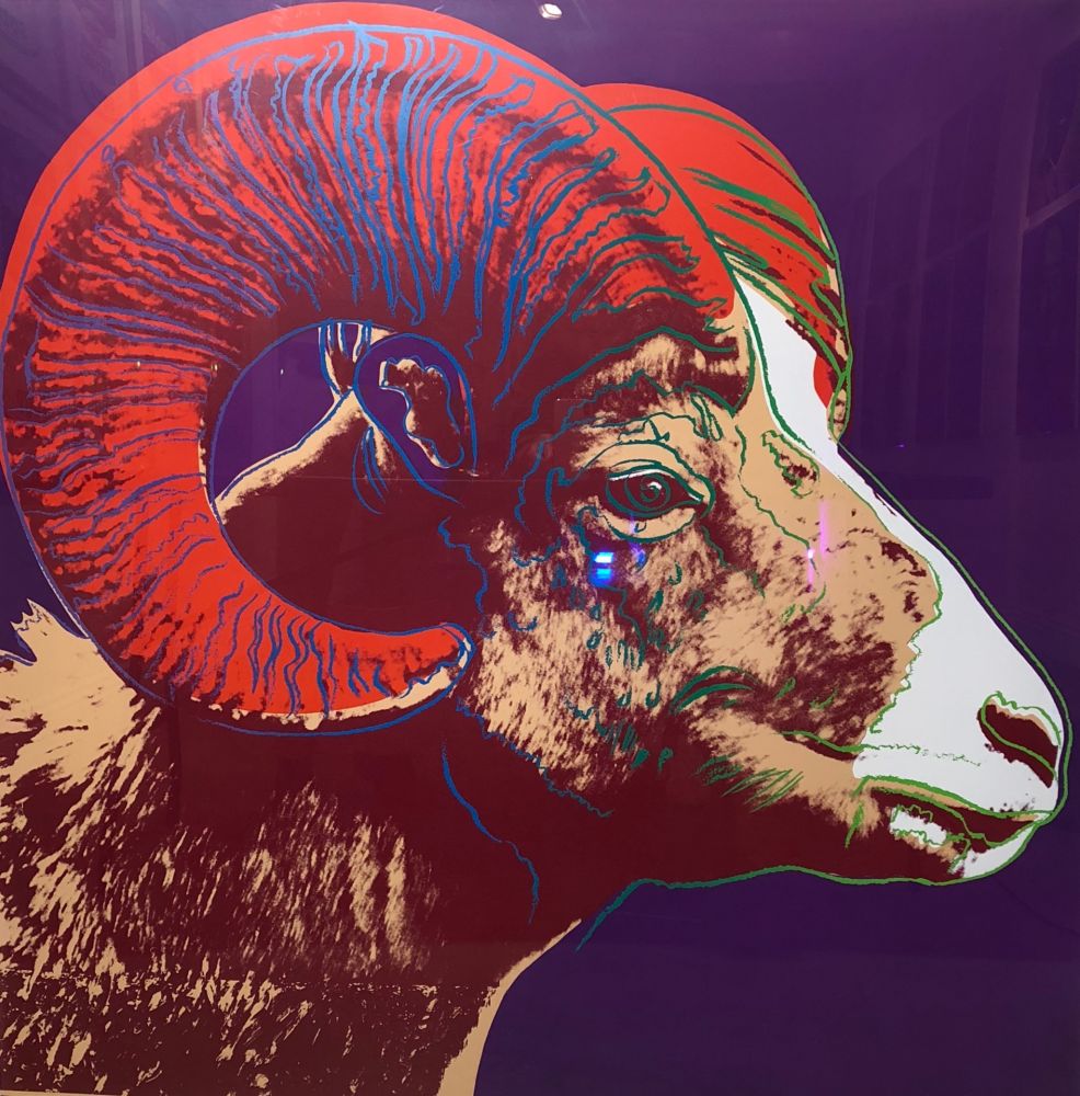 Serigrafia Warhol - Bighorn Ram TP (FS II.302)
