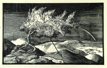 Incisione Su Legno Schönleber - Blütenbaum im Donautal (Flowering tree in the Danube valley)