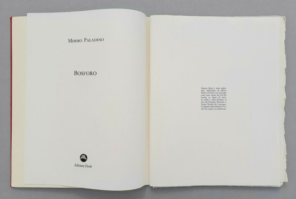 Linoincisione Paladino - Bosforo, 1982