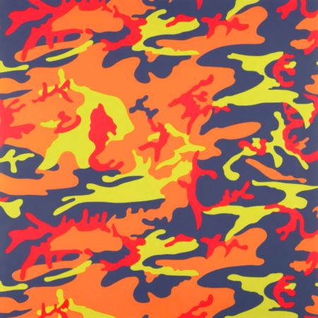 Serigrafia Warhol - Camouflage (FS II.412)