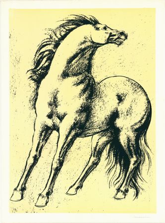 Litografia Messina - Cavallo