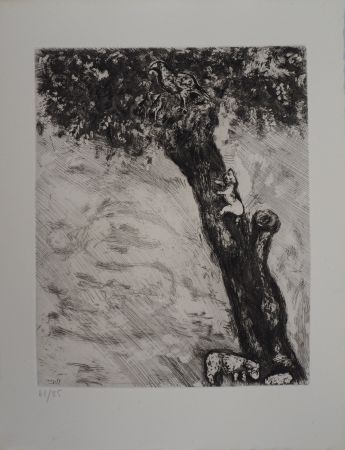 Incisione Chagall - Chat en chasse (L'aigle, la laie et la chatte)