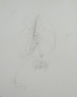 Litografia Beuys - Codices Madrid 10