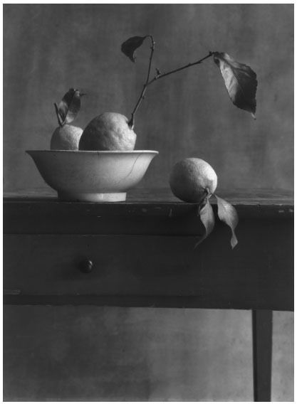 Fotografie Anonyme - COIGNY Christian (1946).  Nature morte aux citrons