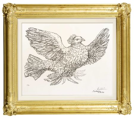 Litografia Picasso - Colombe Volant (Flying Dove)