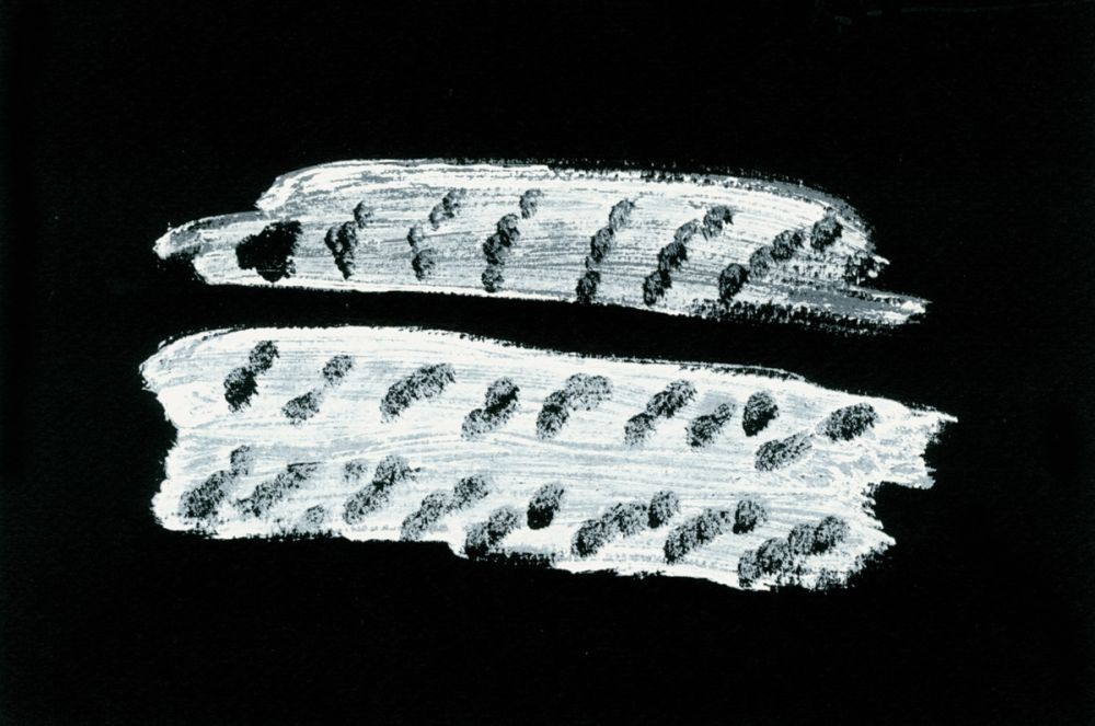 Libro Illustrato Michaux - Comme un ensablement