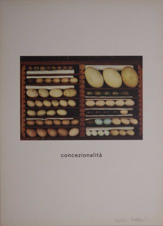 Serigrafia Mattiacci - Concezionalità