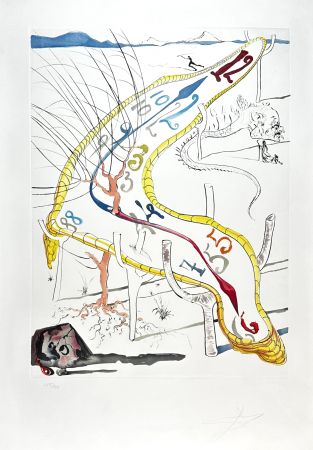 Incisione Dali - Conquest of Cosmos Frozen Watches of Space Time