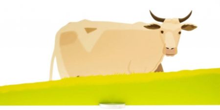 Multiplo Katz - Cow (small). S.384