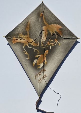 Non Tecnico Toledo - Cranes with Sea Turtle Kite