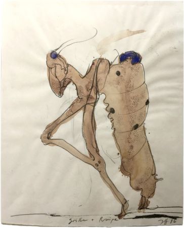 Non Tecnico Janssen - Cricket