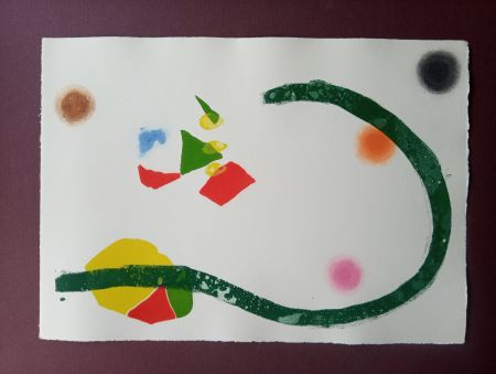Acquaforte E Acquatinta Miró - Càntic del Sol - Plate 27