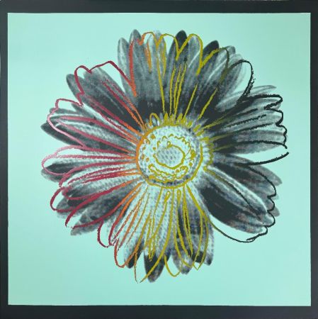 Serigrafia Warhol - Daisy, IIIA.38