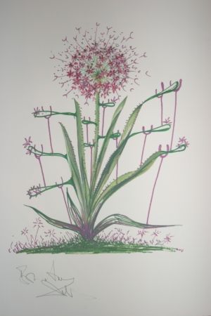 Litografia Dali -  Desert Cactus (surrealistic flowers)