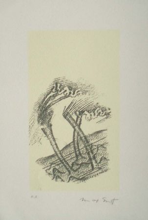 Litografia Ernst - Desert plisses