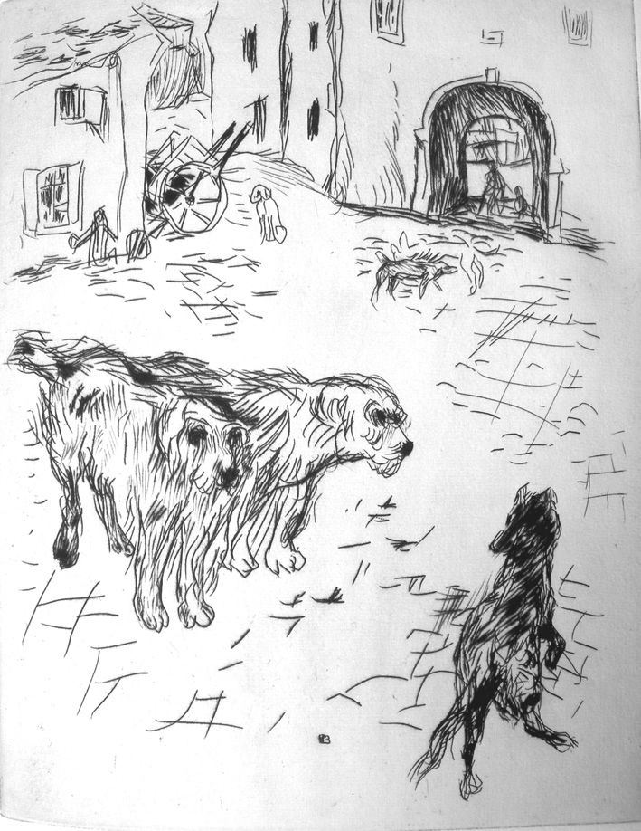 Libro Illustrato Bonnard - Dingo