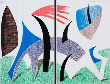Non Tecnico Hockney - Diptychon