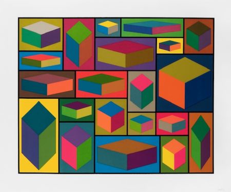 Linoincisione Lewitt - Distorted cubes  - planche 2