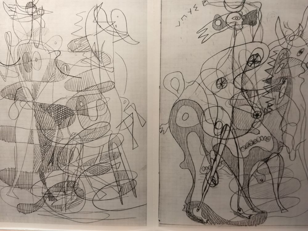 Libro Illustrato Braque - DLM 71-72