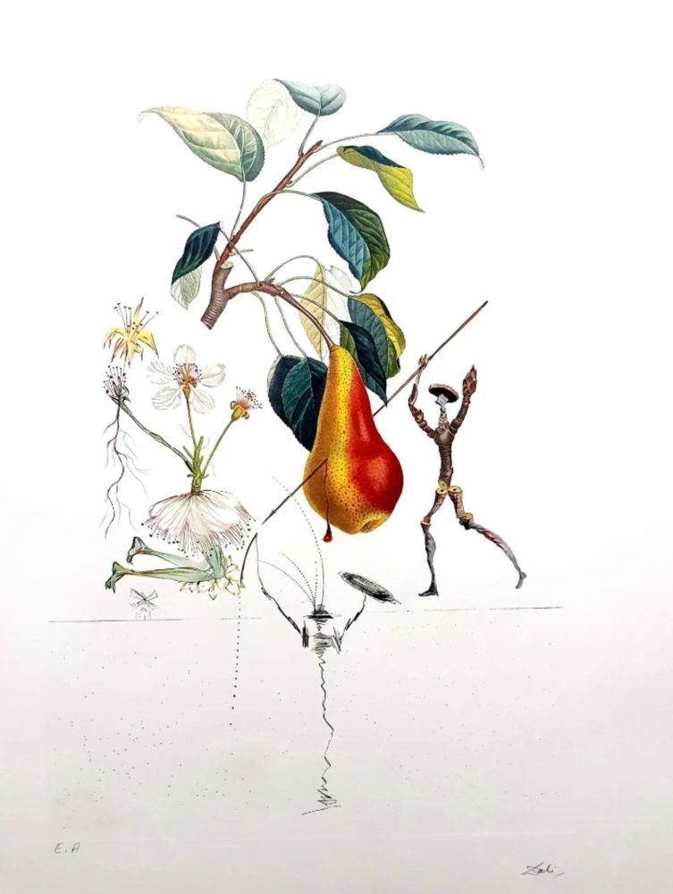 Litografia Dali - Don Quixote Pear