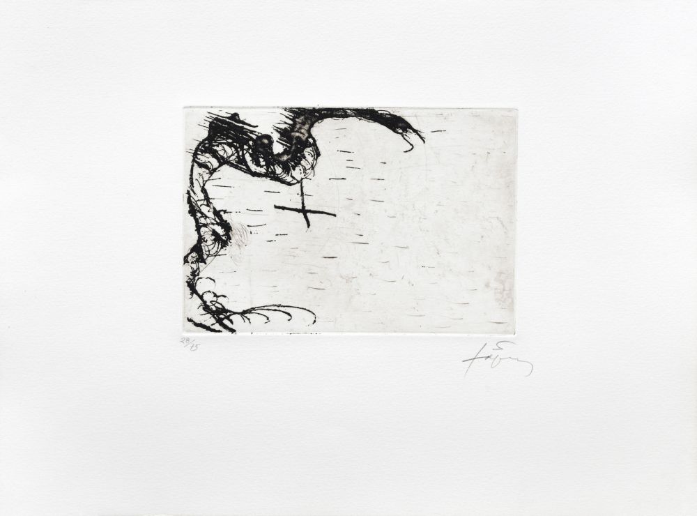 Incisione Tàpies - Dragon 