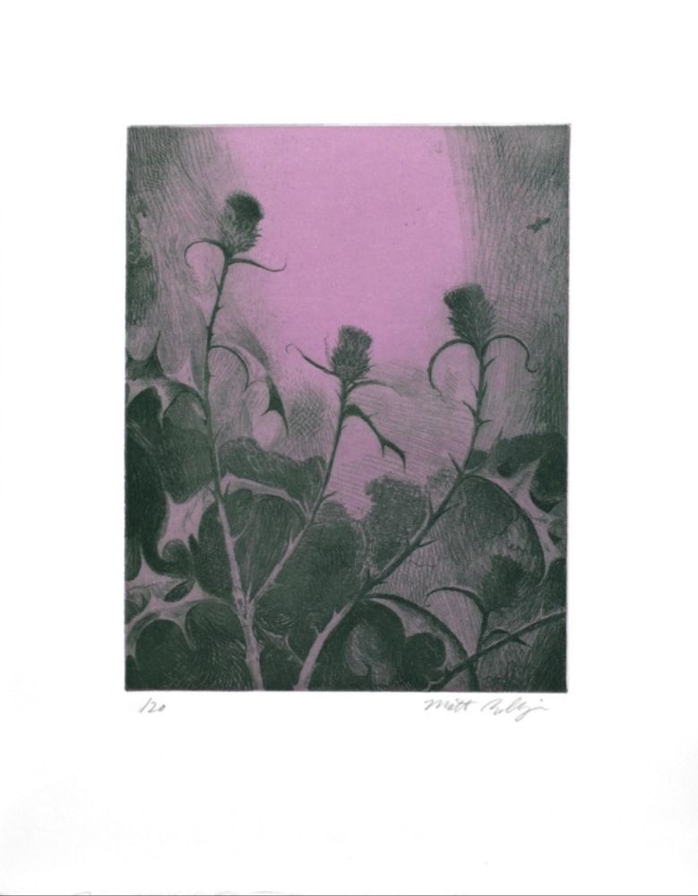 Incisione Bollinger - Dusk Thistle