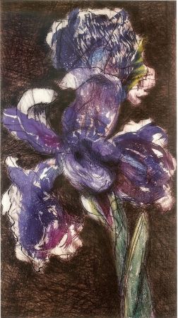 Litografia Kentridge - Dutch Iris II
