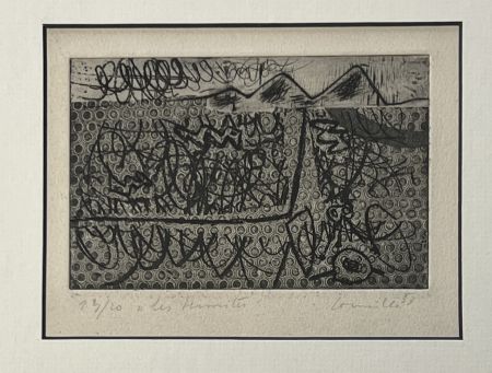 Acquaforte Corneille - Eau-forte encadrée Les termites 1953 Numéro 3/20
