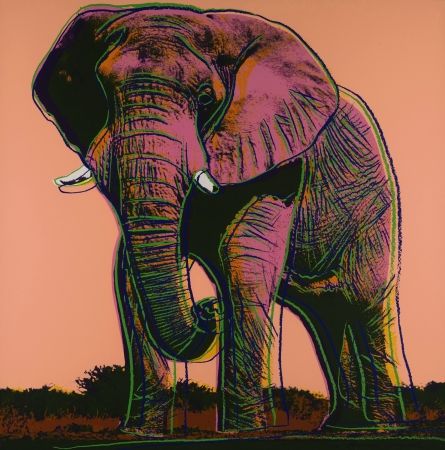 Serigrafia Warhol - Elephant 