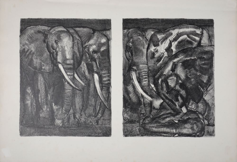 Litografia Jouve - Elephants