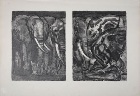 Litografia Jouve - Elephants
