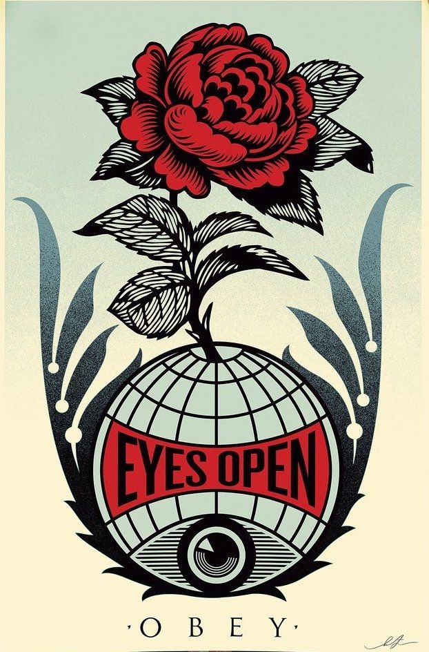 Litografia Fairey - Eyes Open 