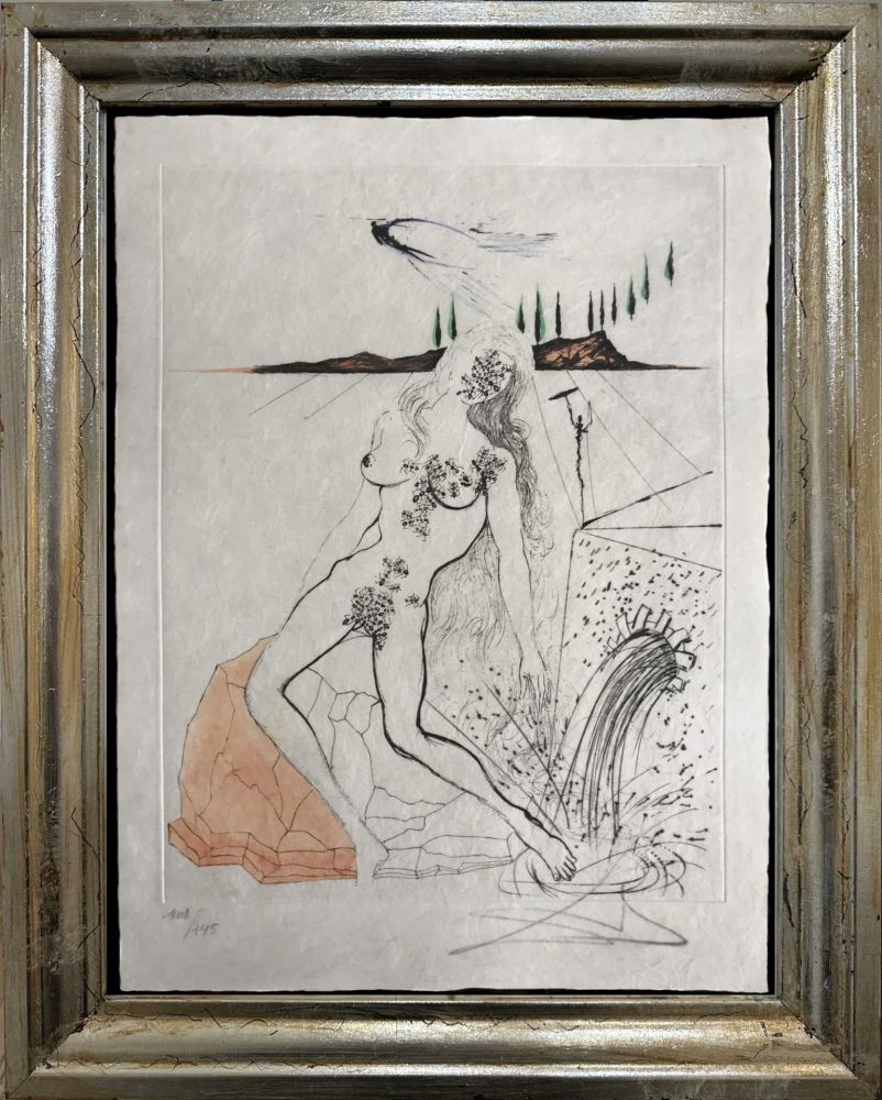 Incisione Dali - Femme à la Fontaine