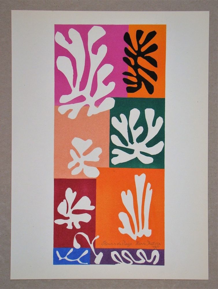 Litografia Matisse (After) - Fleur De Neige - 1951