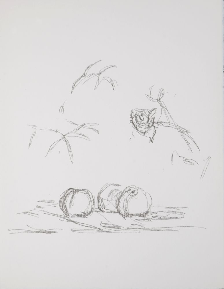Litografia Giacometti - Fleurs, 1972