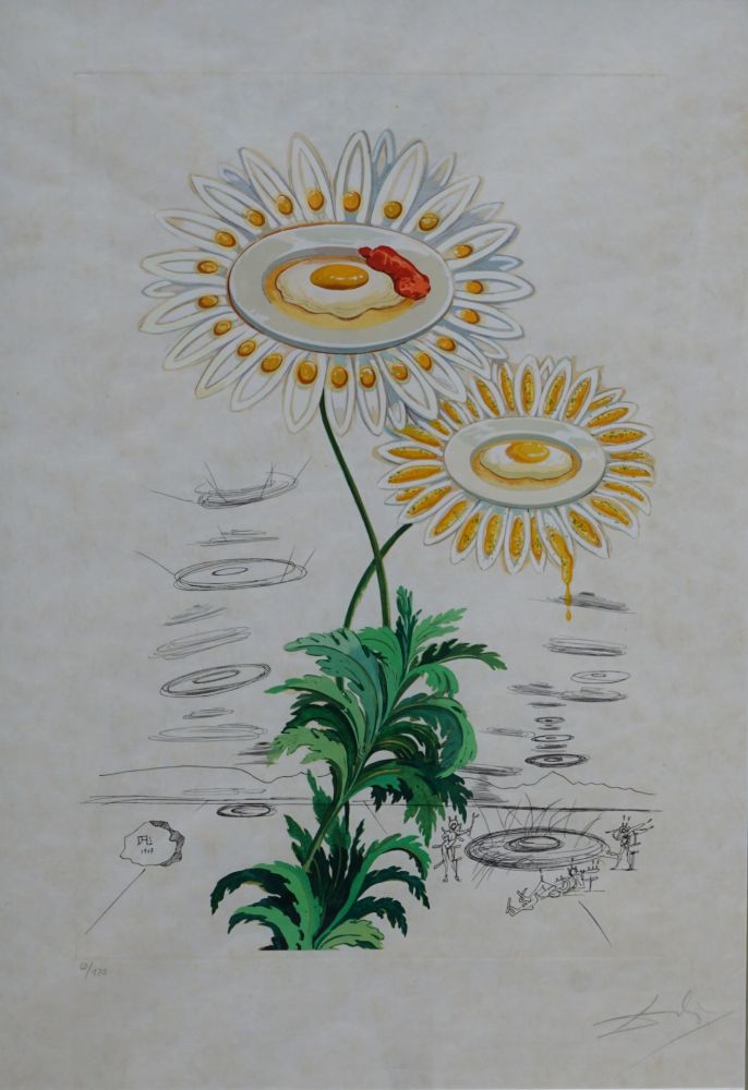 Incisione Dali - Flora Dalinae Chrysanthemum