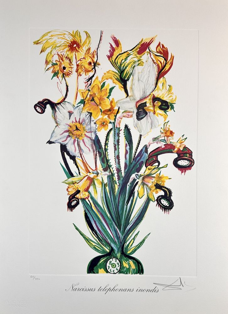 Incisione Dali - Florals Daffodils of Love