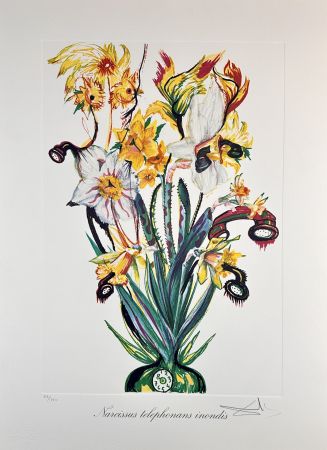 Incisione Dali - Florals Daffodils of Love