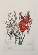Litografia Dali -  Florals; Gladiolus [ + EARS ] Custa Brava 1972