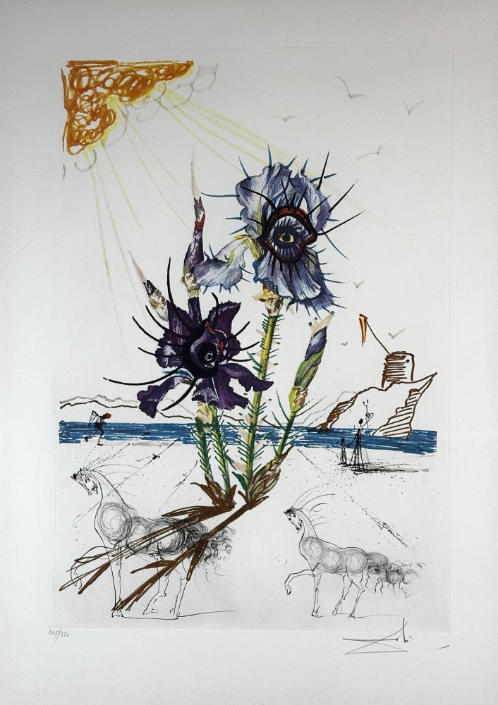 Incisione Dali - Florals Iris