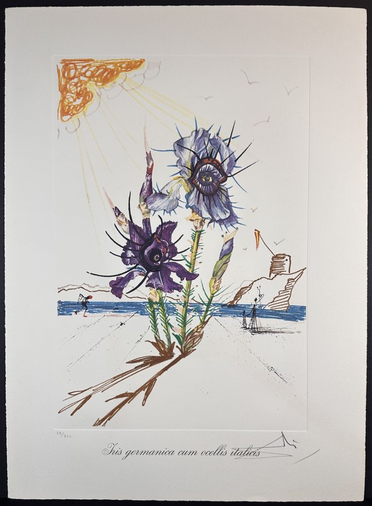 Incisione Dali - Florals Iris of Dali's Youth