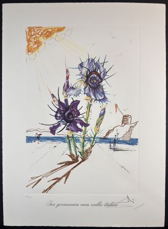 Incisione Dali - Florals Iris of Dali's Youth
