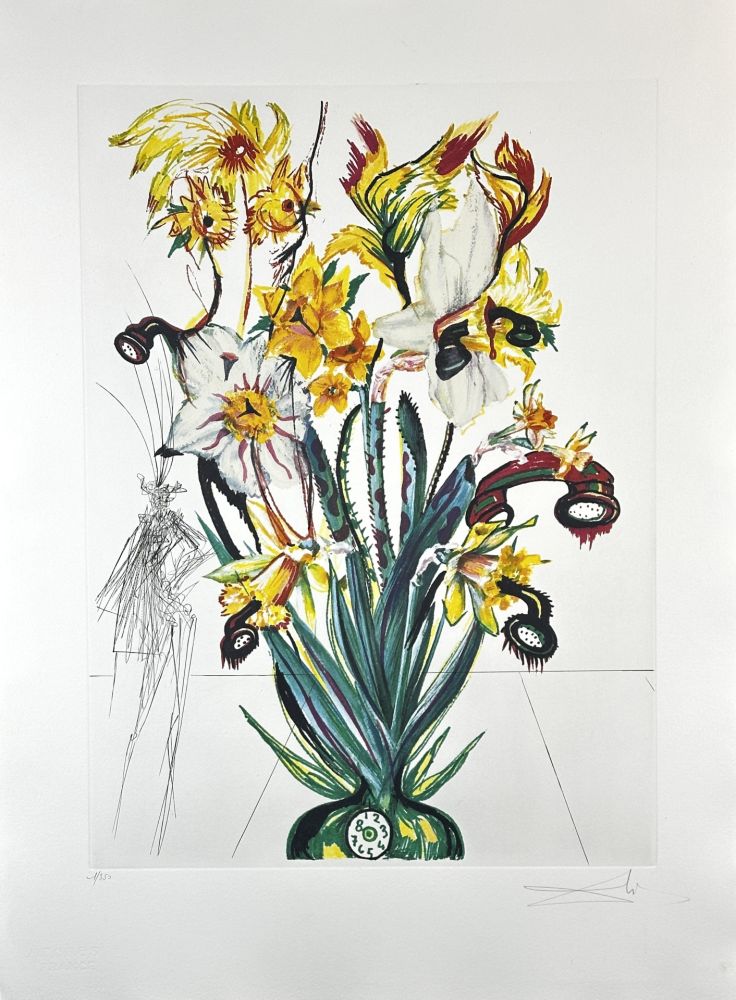 Incisione Dali - Florals Narcissus (Phones) Andalou