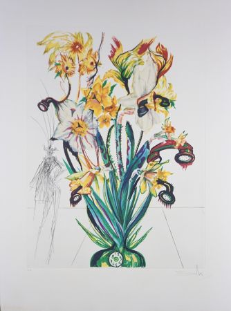 Incisione Dali - Florals Narcissus (Phones) Andalou