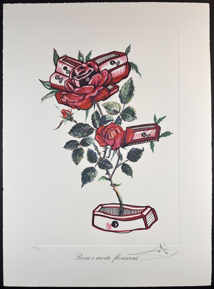Incisione Dali - Florals Roses of Memory