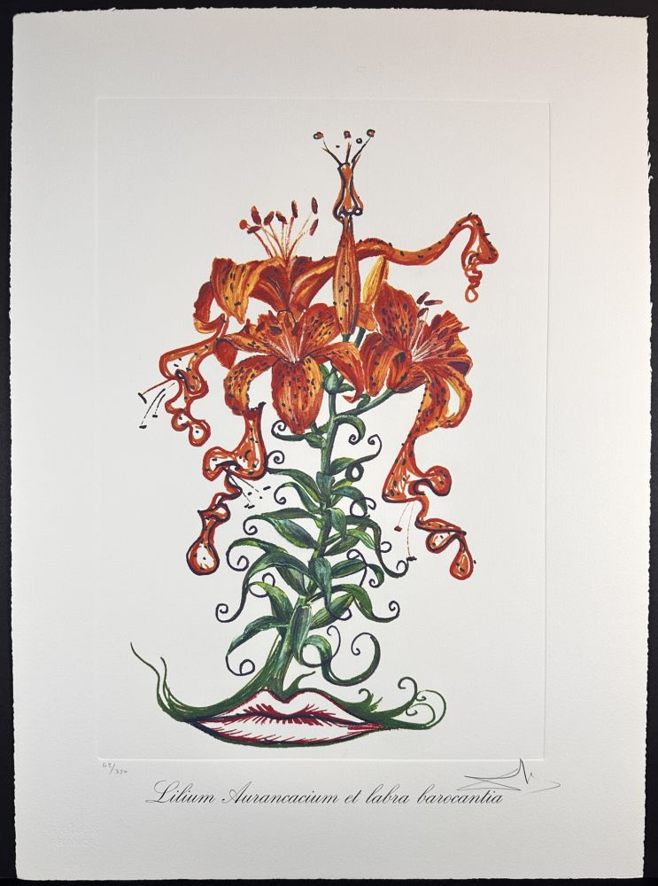 Incisione Dali - Florals Tiger Lilies of The Theatre