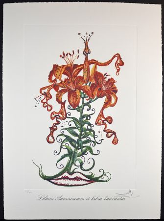 Incisione Dali - Florals Tiger Lilies of The Theatre