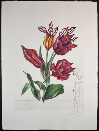 Incisione Dali - Florals Tulips Girafe en Feu