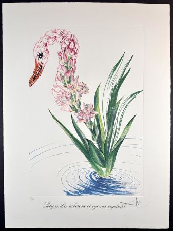 Incisione Dali - Florals Water-Hybiscus Swan
