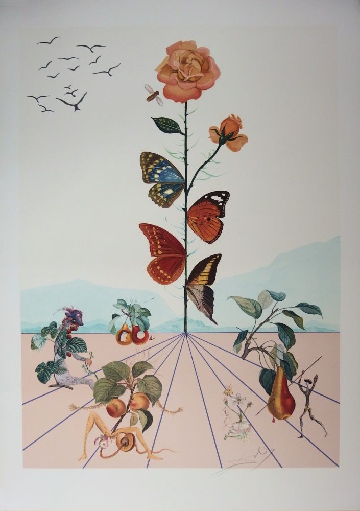 Litografia Dali - Flordali II - La rose papillon